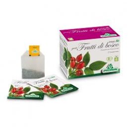 INFUSO BIO FRUTTA BOSCO 20FILT