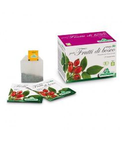 INFUSO BIO FRUTTA BOSCO 20FILT