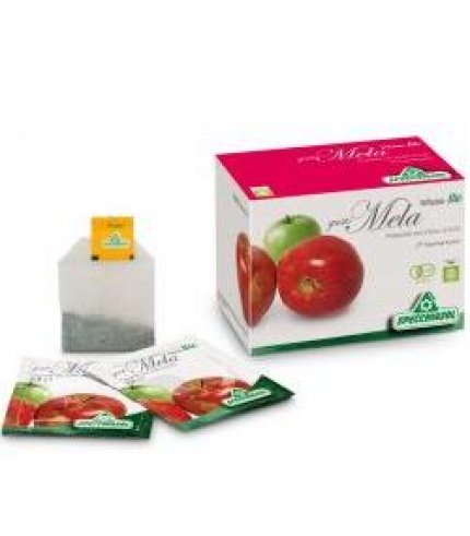 INFUSO BIO FRUTTA MELA 20FILT