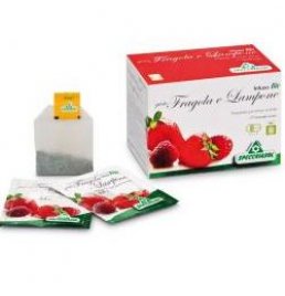 INFUSO FRAGOLA/LAMPONE 20FILT