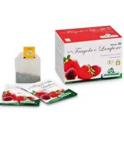 INFUSO FRAGOLA/LAMPONE 20FILT