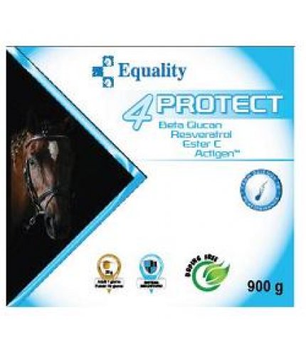 4PROTECT BARATTOLO 900G