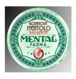 MENTAL FARMA FLAVORAL MENTOLO 35 G