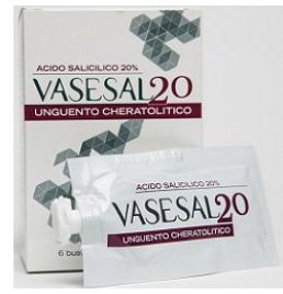 VASESAL 20 6BUST