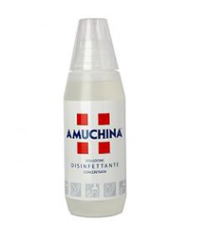 AMUCHINA*SOLUZIONE 500 ML