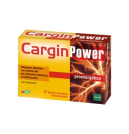 CARGIN POWER 12BUST