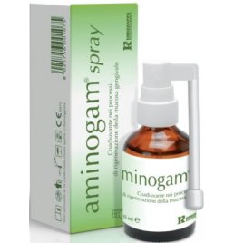 AMINOGAM SPRAY 15ML