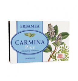 CARMINA PLUS 24CPR 19,2G