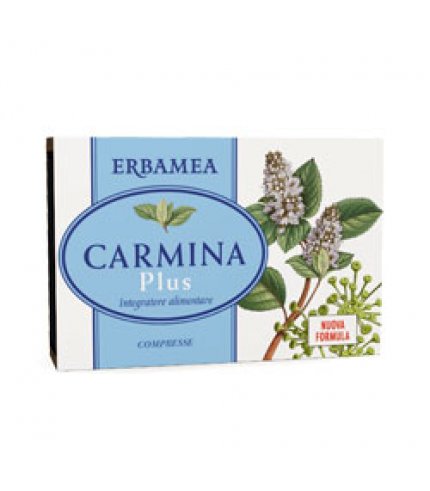 CARMINA PLUS 24CPR 19,2G