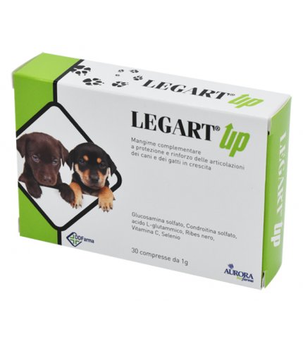 LEGART UP 60CPR