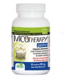 MICOTHERAPY GASTRO 90CPS