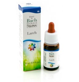 HE.LARCH GUN GTT 10ML F.BACH