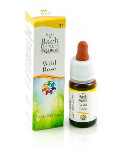 HE.WILD ROSE GUN GTT 10ML F.BA