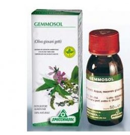 GEMMOSOL 15 CARPINO 50ML MG