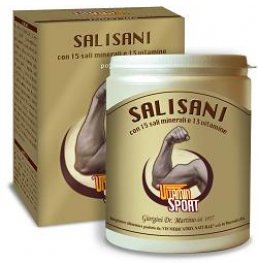 SALISANI VITAMINSPORT 360G POL