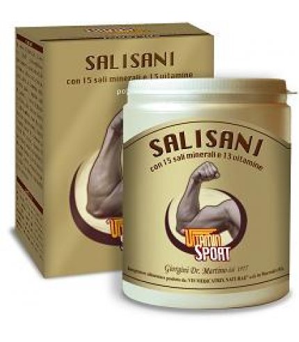 SALISANI VITAMINSPORT 360G POL