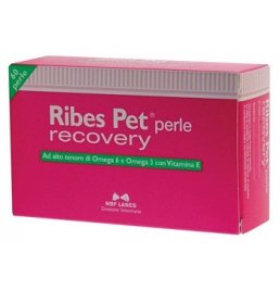 RIBES PET RECOVERY 60PRL