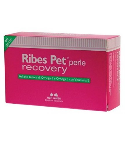 RIBES PET RECOVERY 60PRL