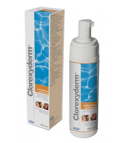 CLOREXYDERM SCHIUMA 200ML