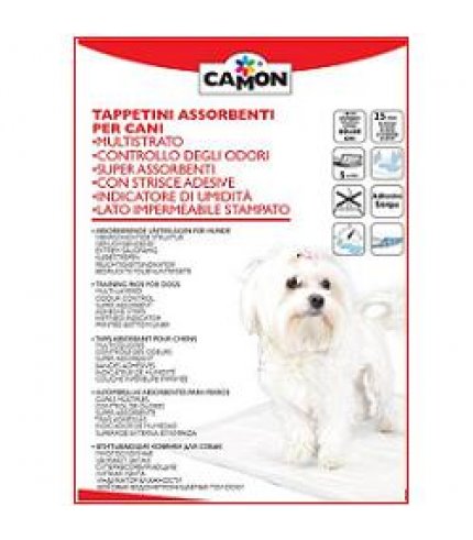 TAPPETINO ASS CANI 60X60 25PZ