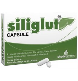 SILIGLUT 20 CAPSULE