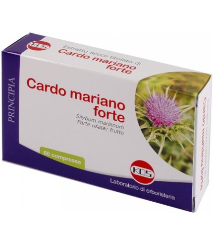 CARDO MARIANO FORTE 60CPR