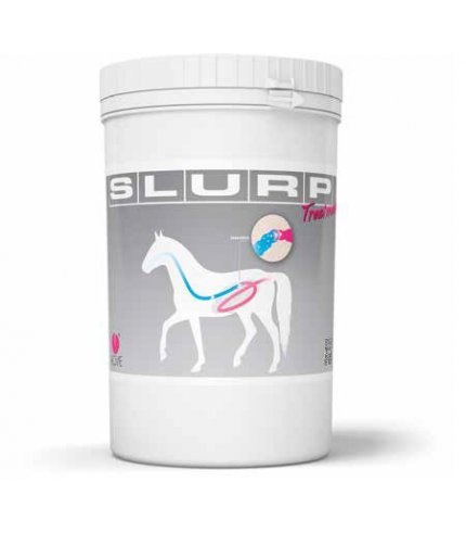 SLURP TREATMENT 800G