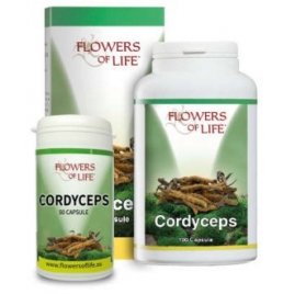 CORDYCEPS 100CPS FLOWERS OF LI