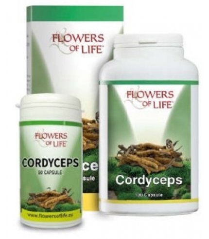 CORDYCEPS 100CPS FLOWERS OF LI