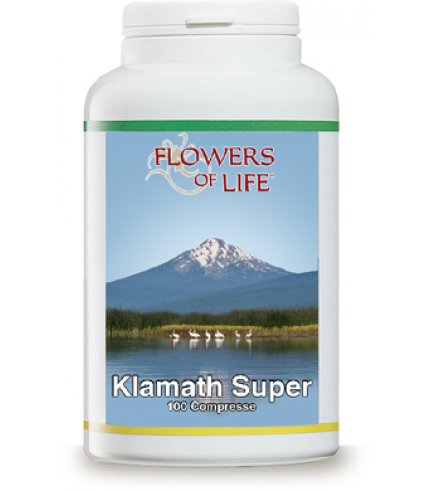 KLAMATH SUPER 100CPR FLOWERS