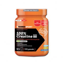 CREATINA 100% 500G