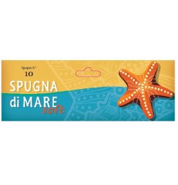 SPUGNA DI MARE SOFT M