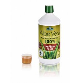 ALOE VERA SUCCO MIRTILLO 1L