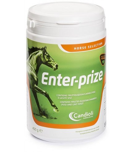 ENTER-PRIZE 450G