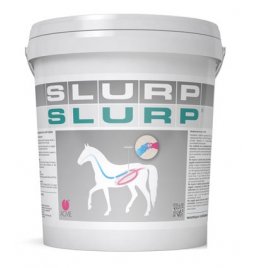 SLURP POLVERE 10KG