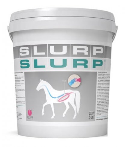 SLURP POLVERE 10KG