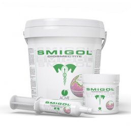 SMIGOL PASTA 1 SIRINGA 100G