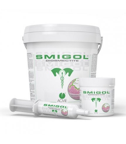 SMIGOL PASTA 1 SIRINGA 100G