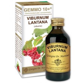 VIBURNO LIQ ANALCOLICO 100ML