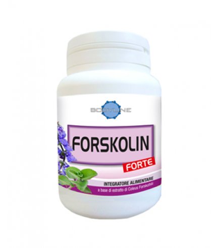 FORSKOLIN FORTE 60CPS