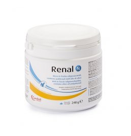 RENAL N 240G