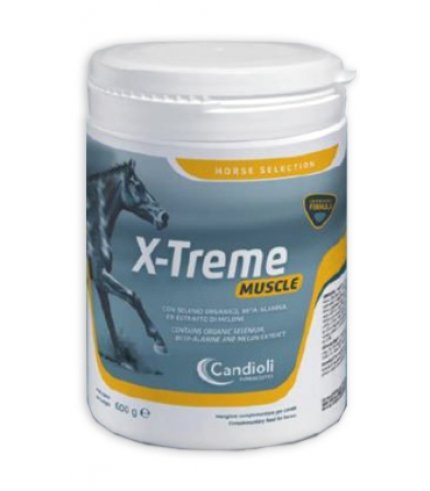 X-TREME MUSCLE 600G