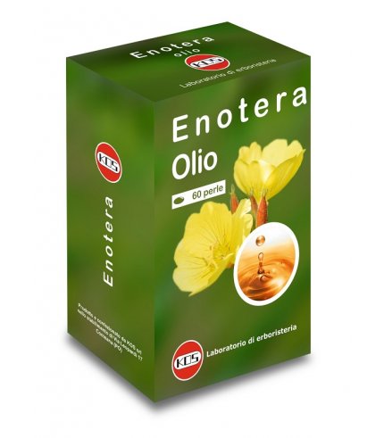 OLIO DI ENOTERA 60PRL 500MG