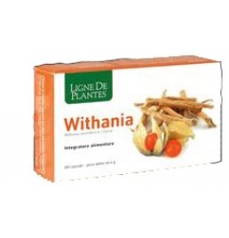 WITHANIA 60CPS NATURA SERVICE