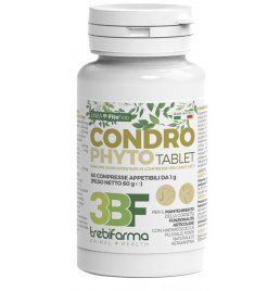 CONDROPHYTO 60CPR 1G