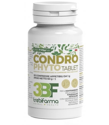 CONDROPHYTO 60CPR 1G