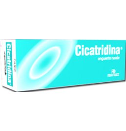 CICATRIDINA UNGUENTO NASALE 15 G