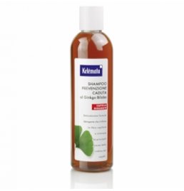 SHAMPOO PREV CAD GINKGO BILOBA