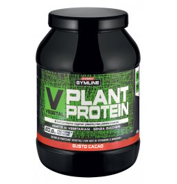 GYMLINE MUSCLE VEG PROT CACAO