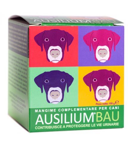 AUSILIUM BAU 100G